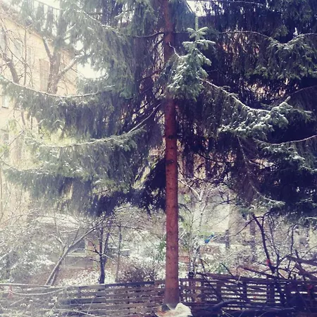 Edz * Sarajevo